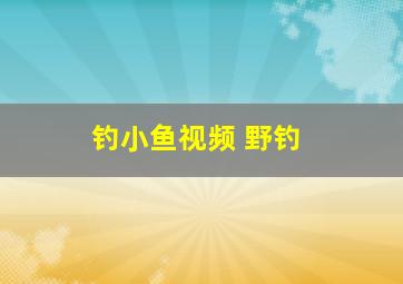 钓小鱼视频 野钓